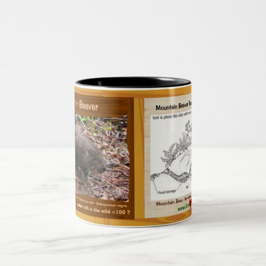 ヤマビーバー、絶滅寸前の齧歯動物、彼自身の- ツートーンマグカップ (中央)