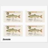 ヤマメ(Oncorhynchus masou)イラスト 長方形シール (シート)
