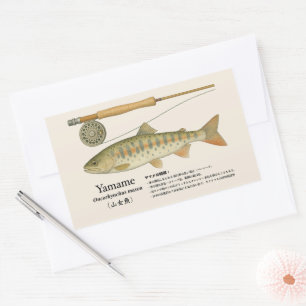 ヤマメ（Oncorhynchus masou）イラスト 長方形シール