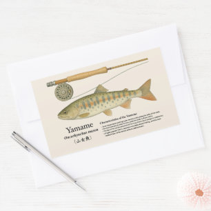 ヤマメ (Oncorhynchus masou) – 英語イラスト 長方形シール