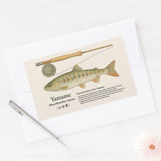 ヤマメ (Oncorhynchus masou) – 英語イラスト 長方形シール (封筒)