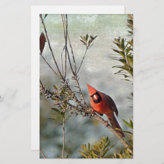 ヤマモモの北の（鳥）ショウジョウコウカンチョウ 便箋 (正面/裏面)