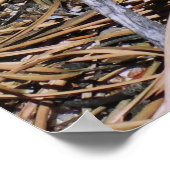 ヤマリス ポスター (角)