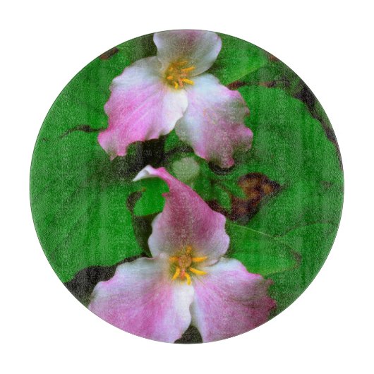 ヤマワリ カッティングボード (正面)