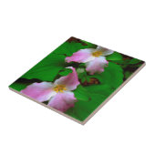 ヤマワリ タイル (側面)