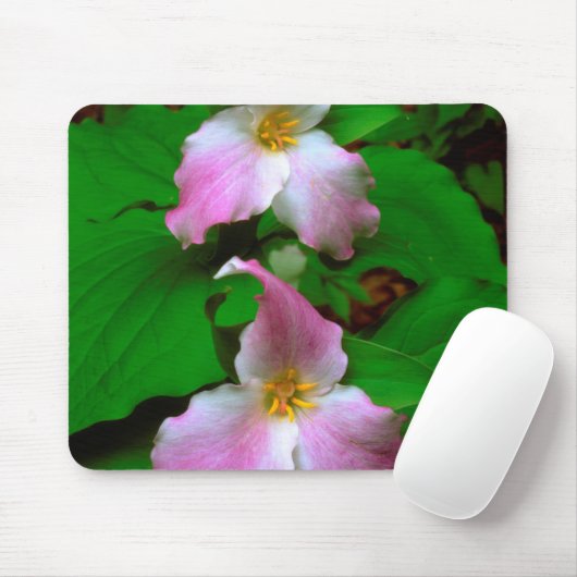 ヤマワリ マウスパッド (マウス)