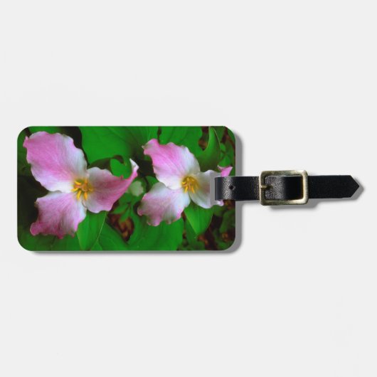 ヤマワリ ラゲッジタグ (正面横)