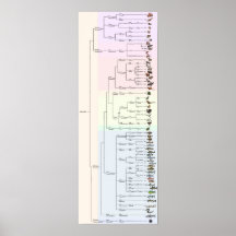 ヤムの木：アニマリアプリント