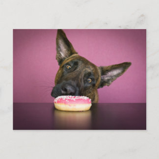 ヤムヤム ポストカード