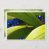 ヤモリのトカゲの熱帯クリスマス シーズンカード (正面/裏面)