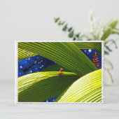 ヤモリのトカゲの熱帯クリスマス シーズンカード (スタンド正面)