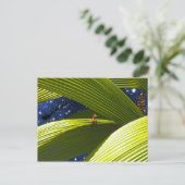 ヤモリのトカゲの熱帯クリスマス シーズンポストカード (スタンド正面)