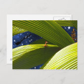 ヤモリのトカゲの熱帯クリスマス シーズンポストカード (正面/裏面)