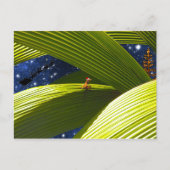 ヤモリのトカゲの熱帯クリスマス シーズンポストカード (正面)