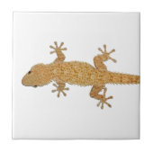 ヤモリのトカゲ タイル (正面)