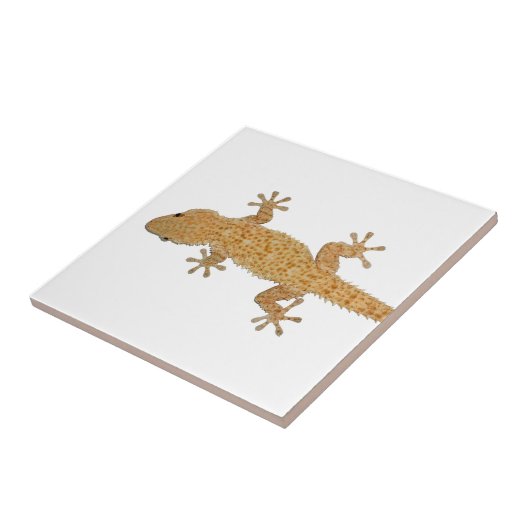 ヤモリのトカゲ タイル (側面)