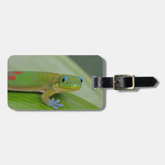 ヤモリの緑のタロイモの荷物のラベル ラゲッジタグ (正面横)