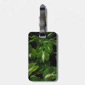 ヤモリの緑のタロイモの荷物のラベル ラゲッジタグ (裏面縦)