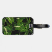 ヤモリの緑のタロイモの荷物のラベル ラゲッジタグ (裏面横)