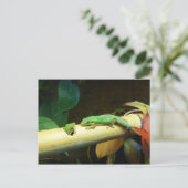 ヤモリ愛郵便はがき ポストカード (スタンド正面)