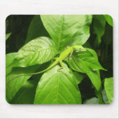 ヤモリ マウスパッド (正面)