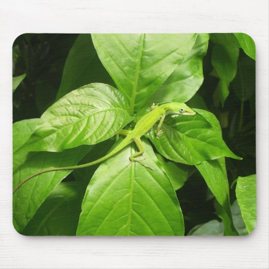 ヤモリ マウスパッド (正面)