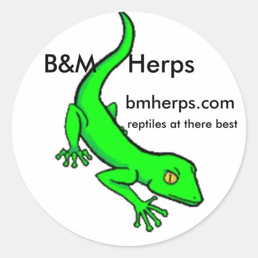 ヤモリ、B&M Herps、bmherps.comのtのハ虫類… ラウンドシール (正面)