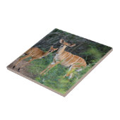 ヤラ州(Tragelaphus Angazii)ヤングンドゥモ タイル (側面)