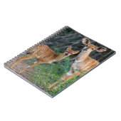 ヤラ州(Tragelaphus Angazii)ヤングンドゥモ ノートブック (左側)