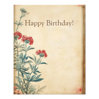 ヤローフラワーイラストレーションエフェメラ フォトプリント