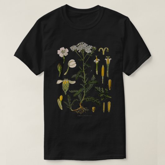 ヤローフラワーヴィンテージフローラ植物植物植物学イリュウ Tシャツ (デザイン正面)