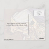 ヤングイタリアンガールバイポールセザンヌ ポストカード (裏面)