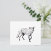 ヤングキツネスケッチ ポストカード (スタンド正面)