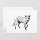 ヤングキツネスケッチ ポストカード (正面/裏面)