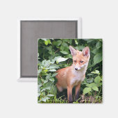 ヤングキツネ1 マグネット (正面/裏面)