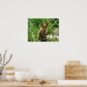 ヤングキツネ ポスター (キッチン)