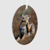 ヤンググレーキツネアットトーレスデルパインナショナルパーク オーナメント (正面)