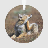 ヤンググレーキツネアットトーレスデルパインナショナルパーク オーナメント (裏面)