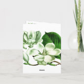 ヤングコーとマグノリアの感謝カード サンキューカード (裏面)