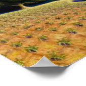 ヤングコーン, 1931年グラントウッド ポスター (角)