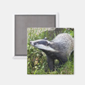 ヤングバッジャー磁石 マグネット (正面/裏面)