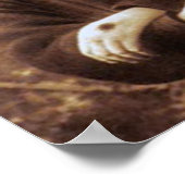 ヤングパドレピオ ポスター (角)