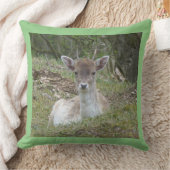 ヤングファローディアー装飾用クッション クッション (ブランケット)