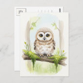 ヤングフクロウベビー野生動物はがき ポストカード (正面/裏面)