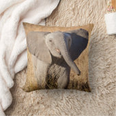 ヤングブッシュゾウ クッション (ブランケット)