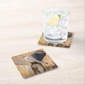 ヤングブッシュゾウ スクエアペーパーコースター (インサイチュ)