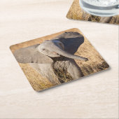 ヤングブッシュゾウ スクエアペーパーコースター (アングル)