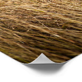 ヤングブッシュゾウ ポスター (角)