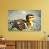 ヤングベビーダック キャンバスプリント (インサイチュ (リビング))