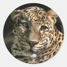 ヤングレオパードかわいいアートギフト ラウンドシール